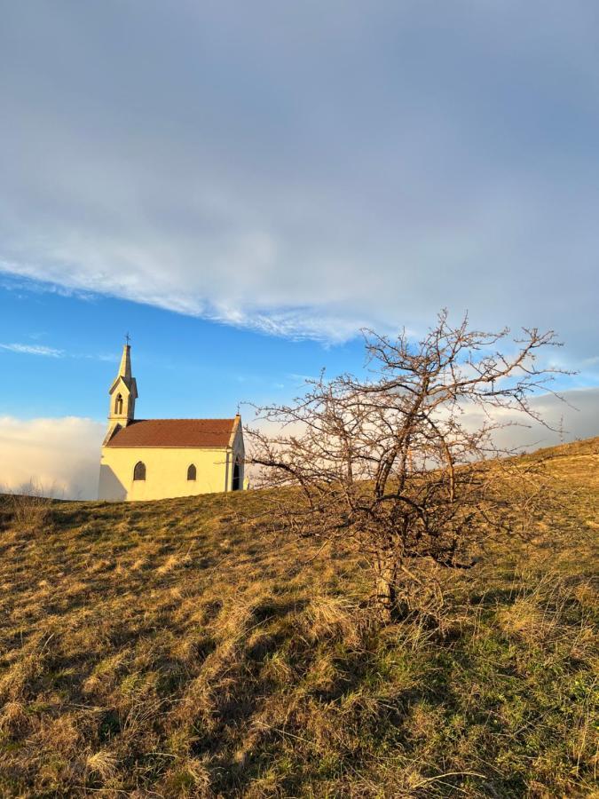 Willa Haus Karner Neusiedl am See Zewnętrze zdjęcie